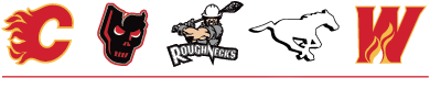CSEC — Calgary Sports and Entertainment Corporation